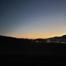 지니잇