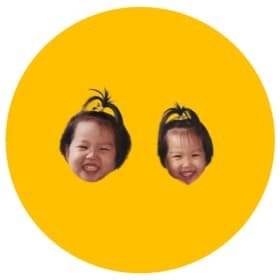 헬시코기