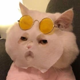 횬디디