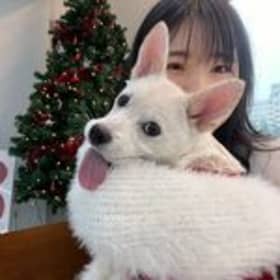 조아가조아