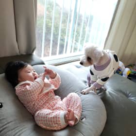 빵글이맘