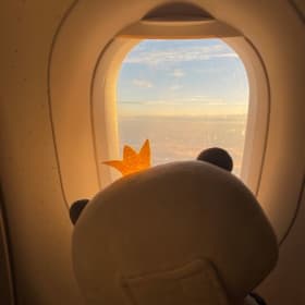 오색풍선