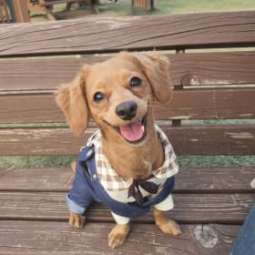 소현쮸