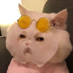 라로그