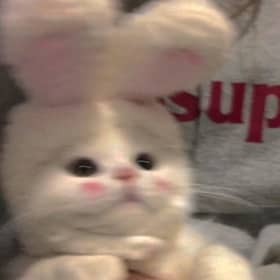 윤정2
