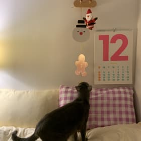 Yk윤갱12