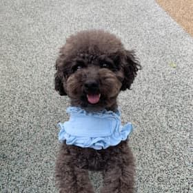 요미욤