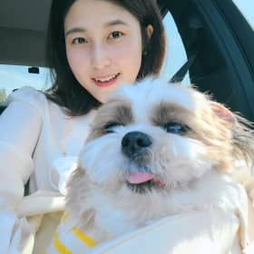 조배코
