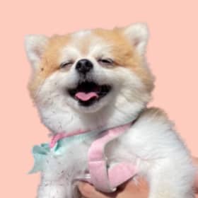 블리ㄹㄹㄹ