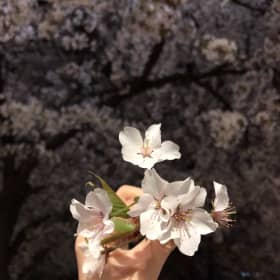 블리a