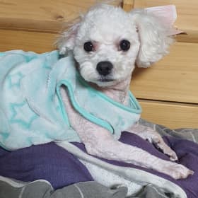 김아인