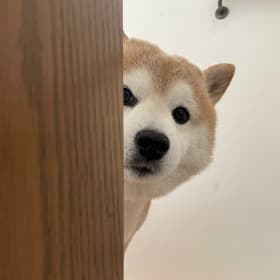 가갸겨교