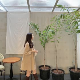 은포토