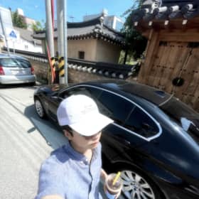 미어켓