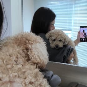 꼬냥이