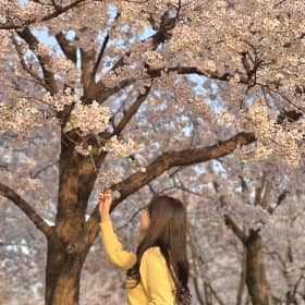 빙빙모찌