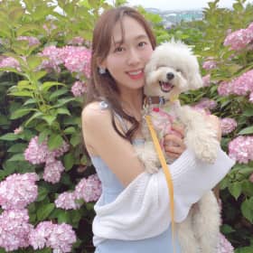 베이비스텔라