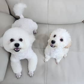 천둥마마