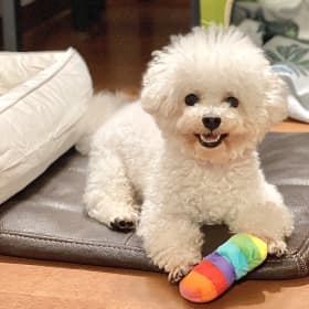 콩빈누나