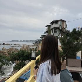 은녜녜