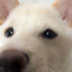 윤요