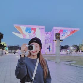 디데이지