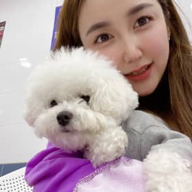 더블비
