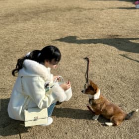 안녕키키키이니지
