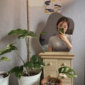 이니엣