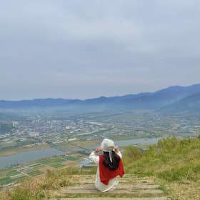 세곰이