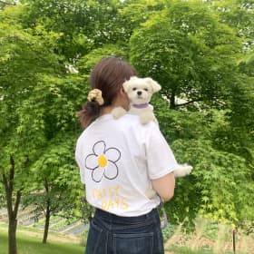 춘식애미