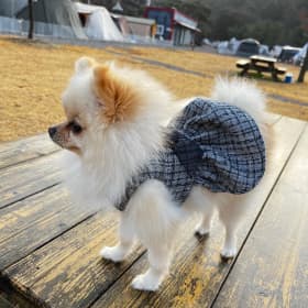 만나달고나