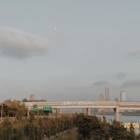 호이