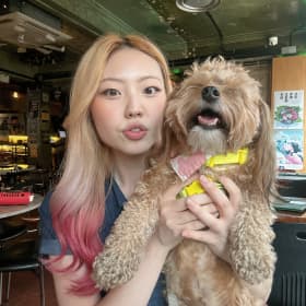 티라미사우루스