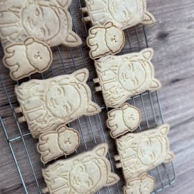 뽀숑솜솜맘