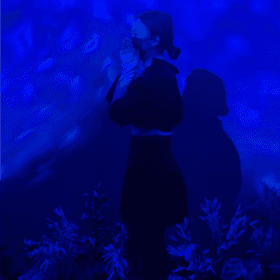도도레미