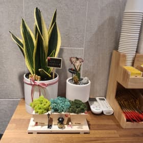 리리뷰뷰