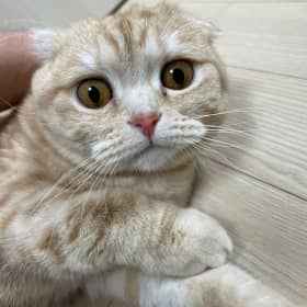 밍밍뚱쩍