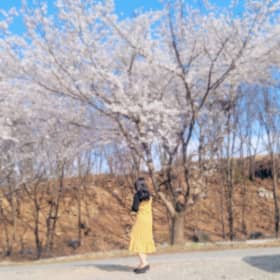 멍멍구