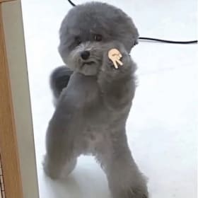 유진zz6