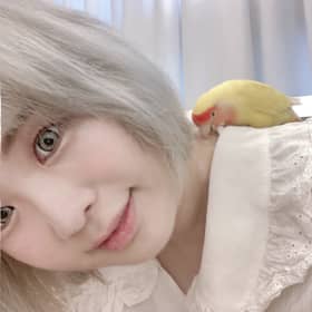 꾸미호