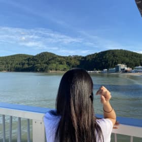 심심한이삐