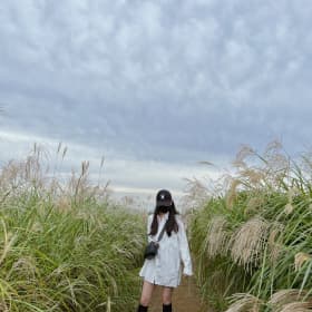 효빵