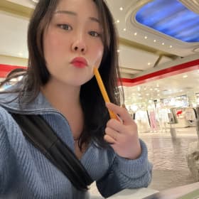 솔라425