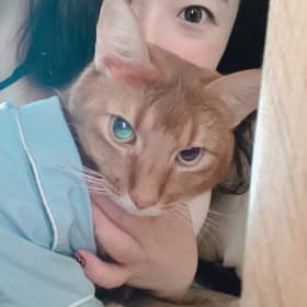 멜리사