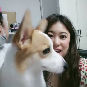 애공