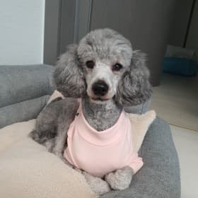 호랭이엄마