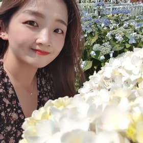 아몽