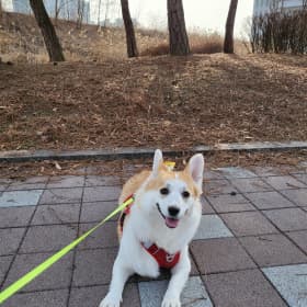 응뿌