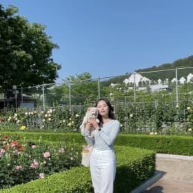 탱디